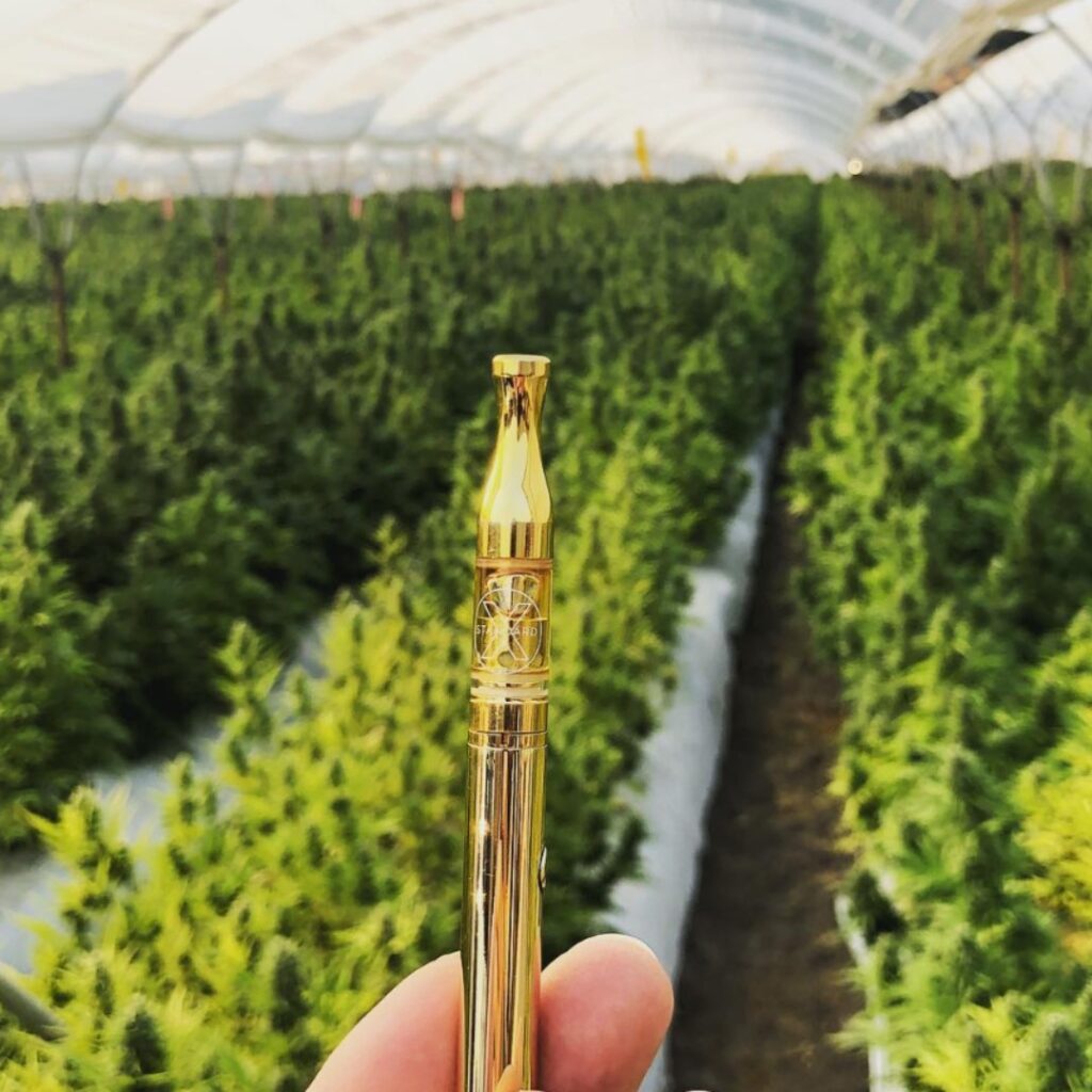 CBD Oil with Terpenes